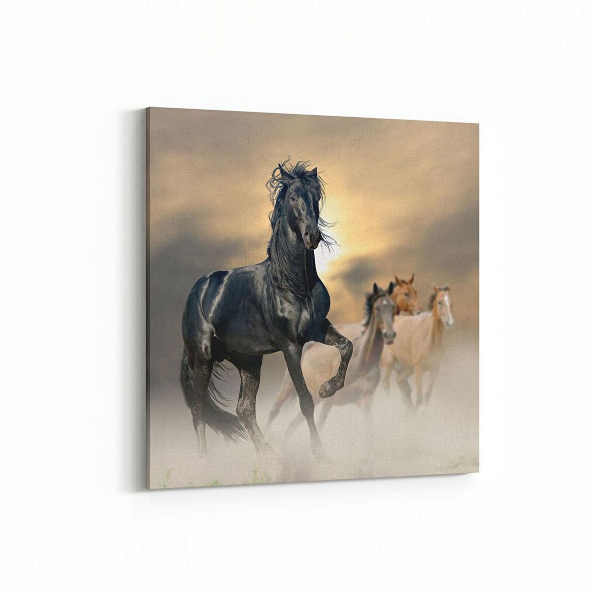 Olla 12545K Hayvanlar Alemi Görseli Kare Kanvas Tablo (Ölçü: 30X30)