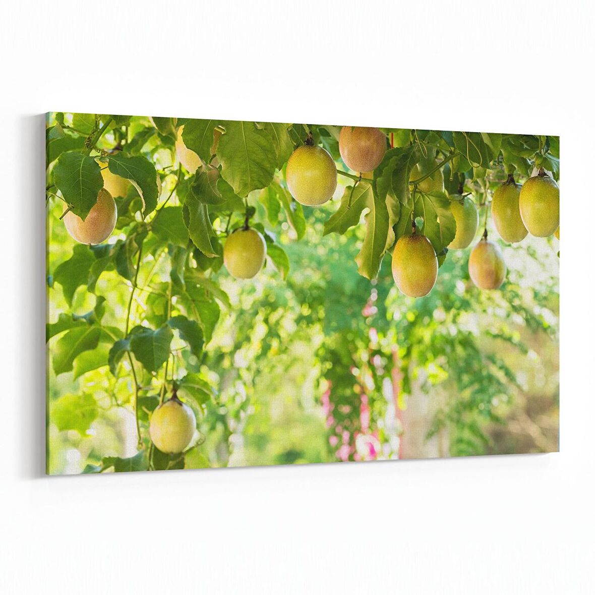 Olla 14962Y Gıda Görseli Yatay Kanvas Tablo (Ölçü: 45X30)