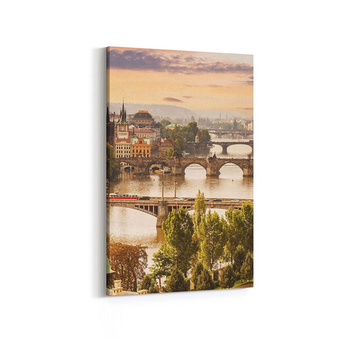 Olla 18670D Yapı Görseli Dikey Kanvas Tablo (Ölçü: 70X105)