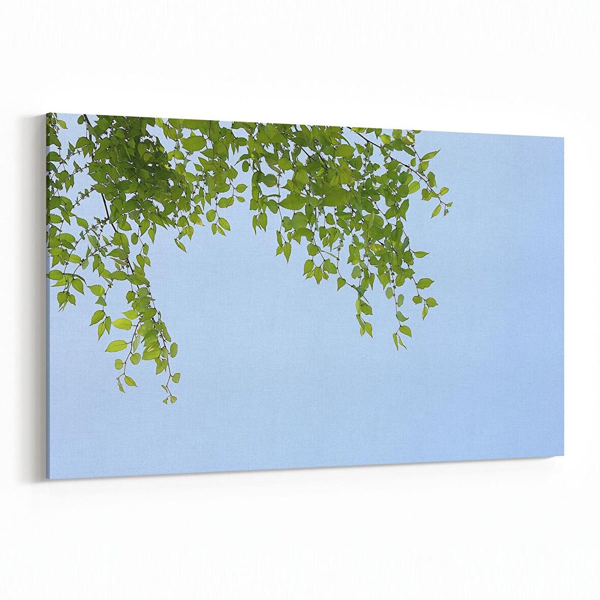 Olla 10959Y Ağaç Görseli Yatay Kanvas Tablo (Ölçü: 45X30)