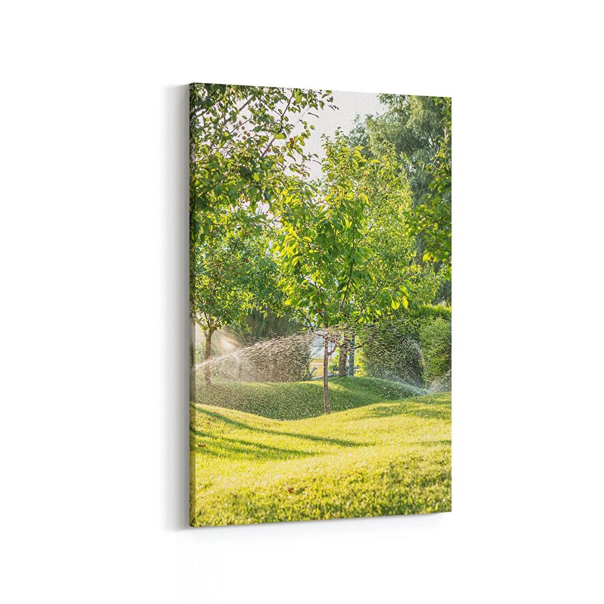 Olla 13496D Doğa / Manzara Görseli Dikey Kanvas Tablo (Ölçü: 100X150)