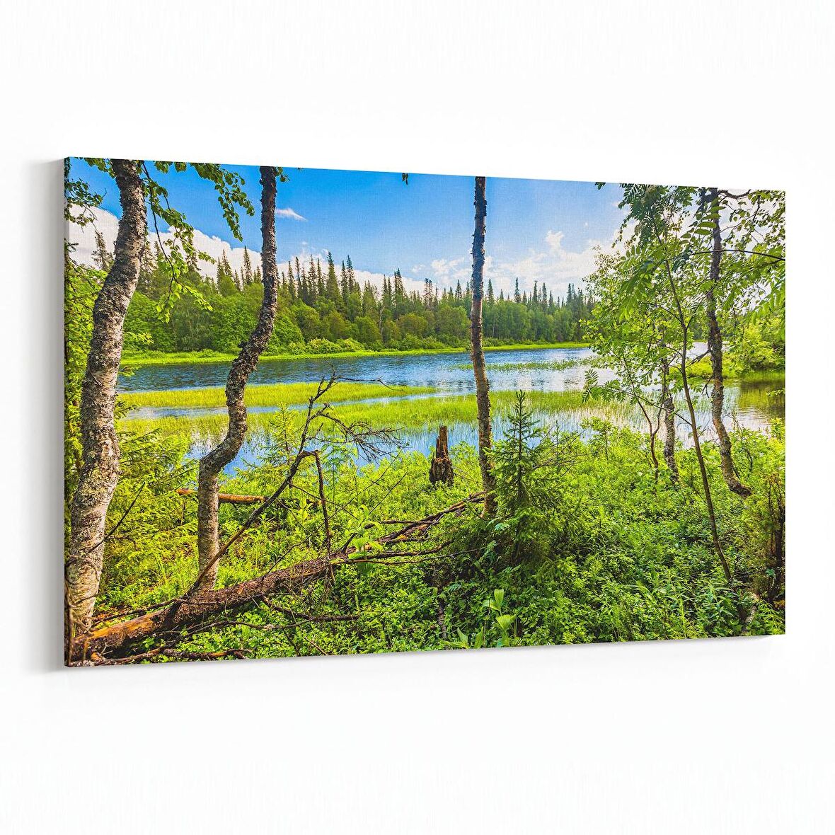 Olla 14248Y Doğa / Manzara Görseli Yatay Kanvas Tablo (Ölçü: 45X30)