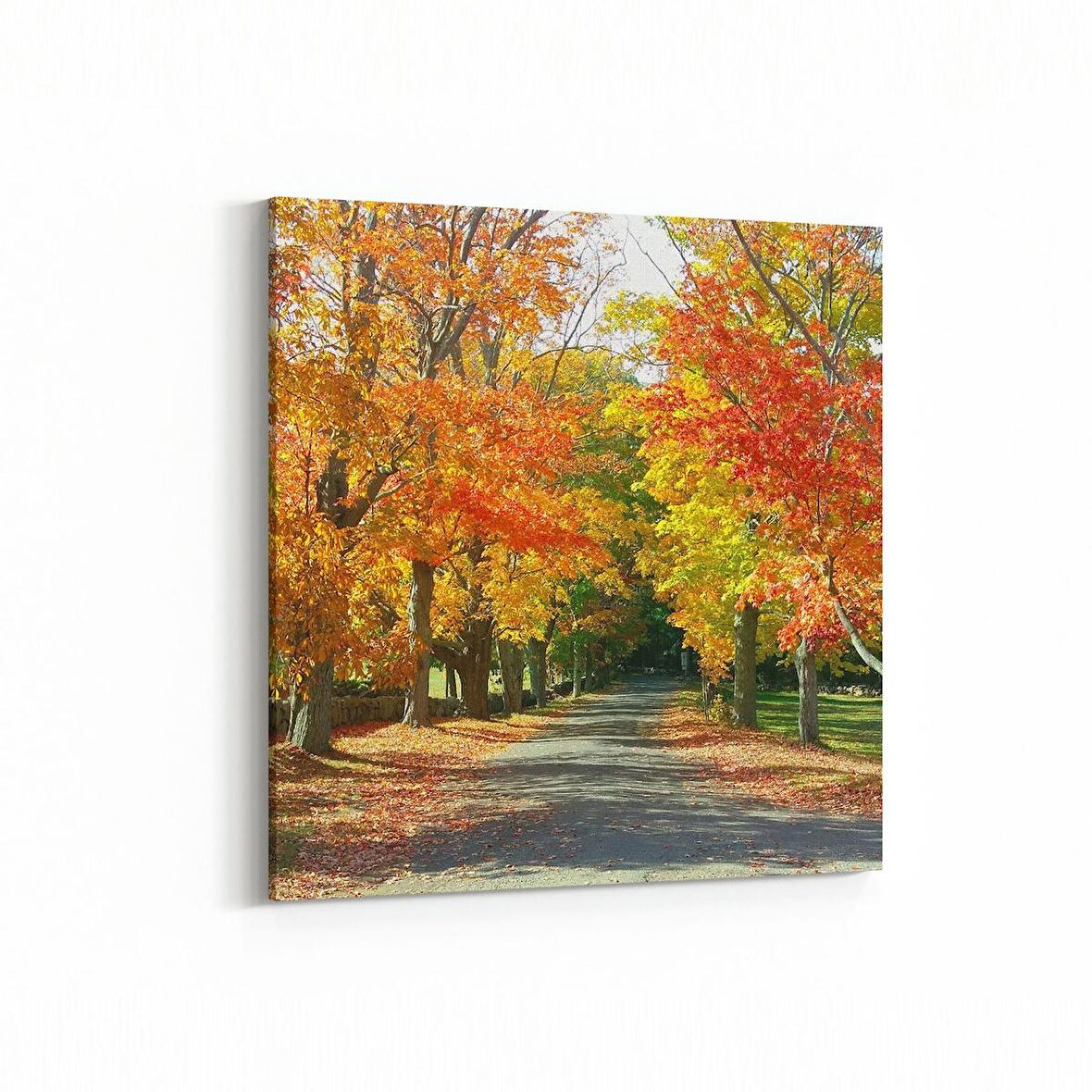 Olla 14529K Doğa / Manzara Görseli Kare Kanvas Tablo (Ölçü: 30X30)