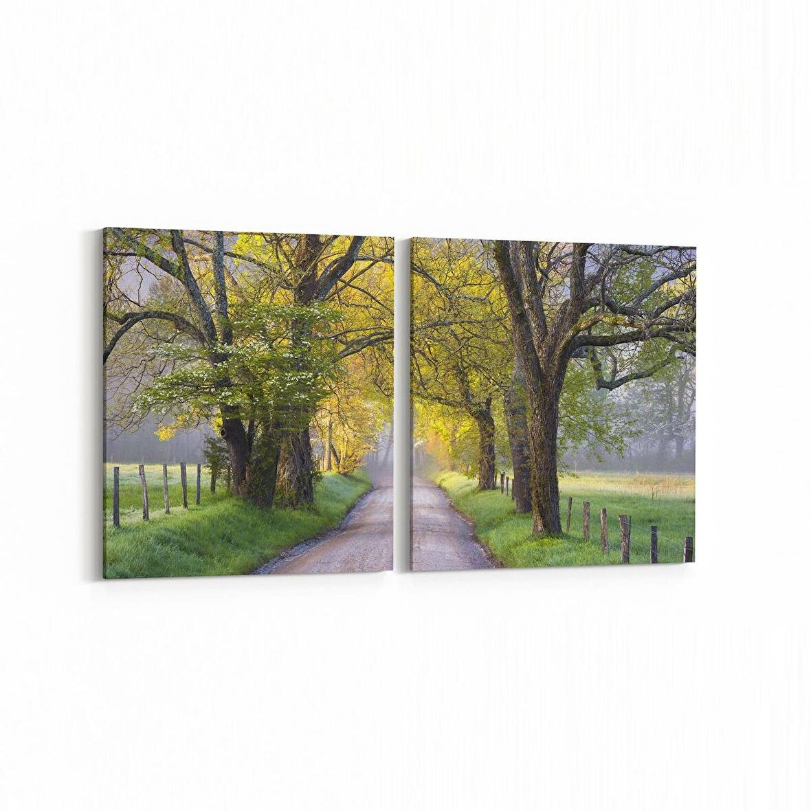 Olla 13437K2Y Doğa / Manzara Görseli Kare 2'li Yatay Kanvas Tablo (Ölçü: 65X30)