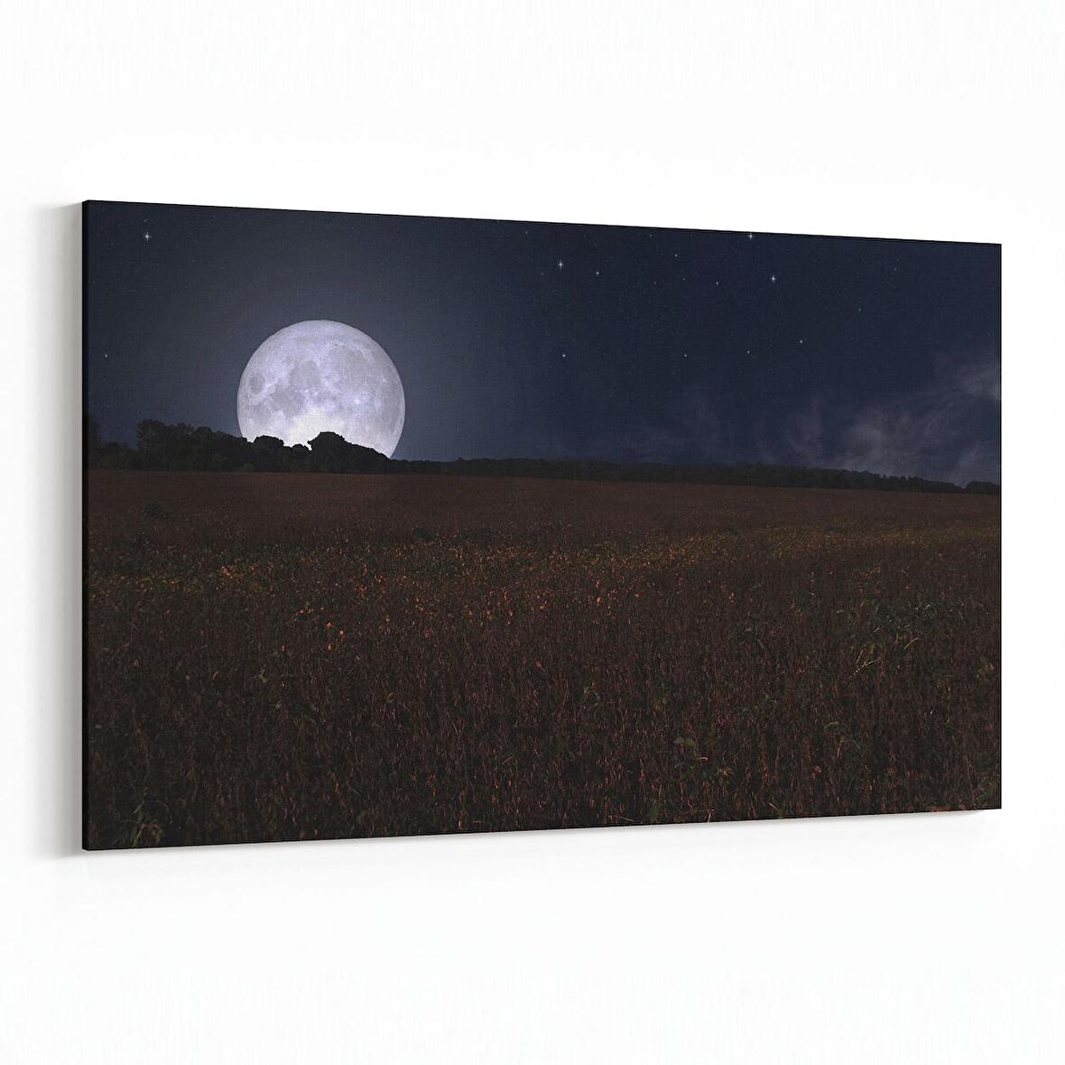 Olla 14865Y Gece Gökyüzü Görseli Yatay Kanvas Tablo (Ölçü: 150X100)