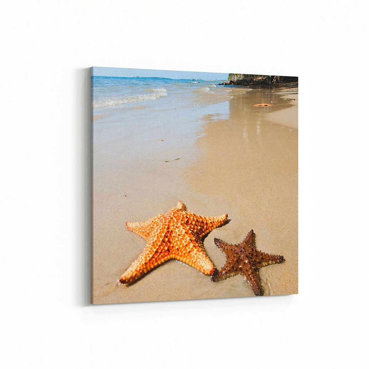 Olla 16347K Kumsal / Sahil Görseli Kare Kanvas Tablo (Ölçü: 25X25)