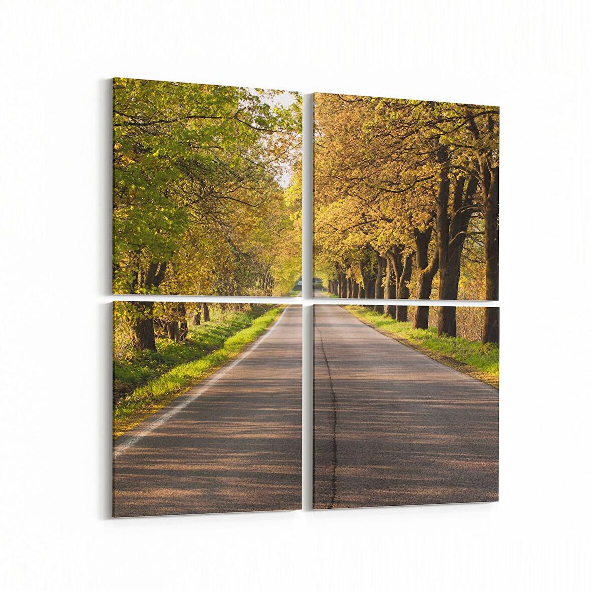 Olla 13579K4 Doğa / Manzara Görseli Kare 4'lü Kanvas Tablo (Ölçü: 145X145)