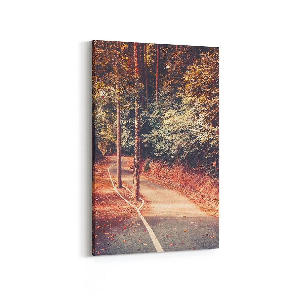 Olla 14454D Doğa / Manzara Görseli Dikey Kanvas Tablo (Ölçü: 40X60)