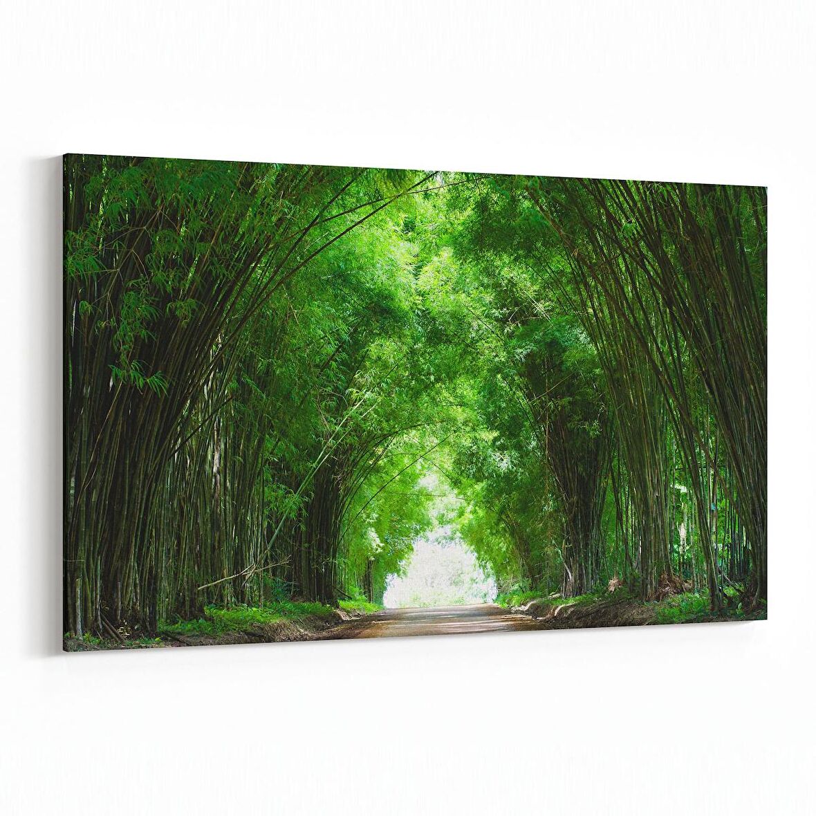 Olla 14092Y Doğa / Manzara Görseli Yatay Kanvas Tablo (Ölçü: 90X60)