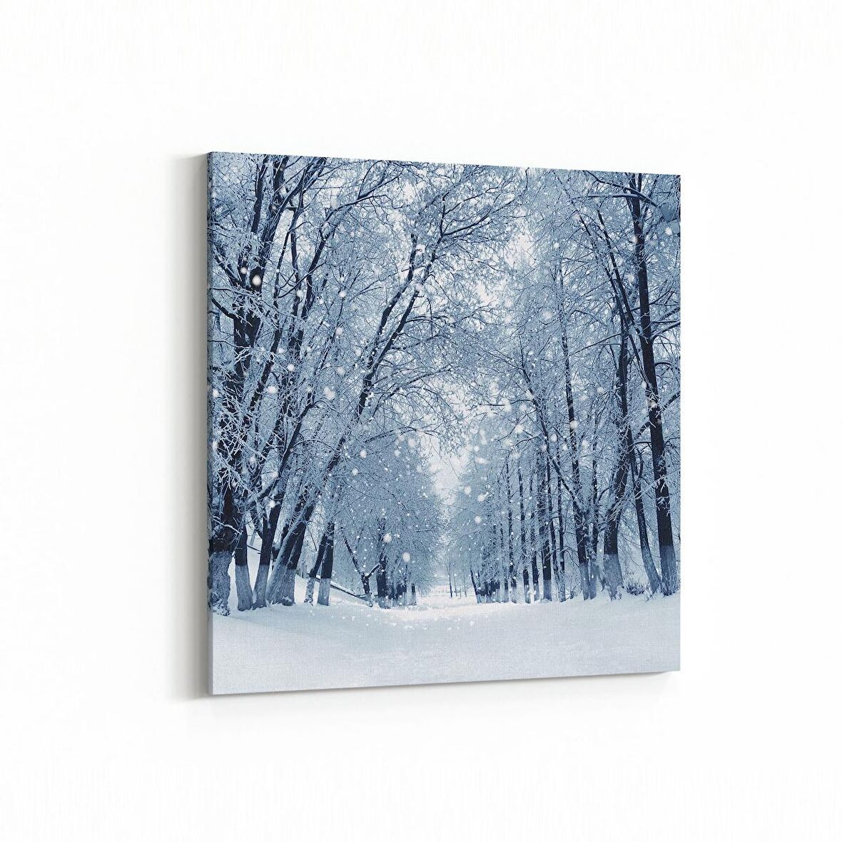 Olla 13590K Doğa / Manzara Görseli Kare Kanvas Tablo (Ölçü: 60X60)