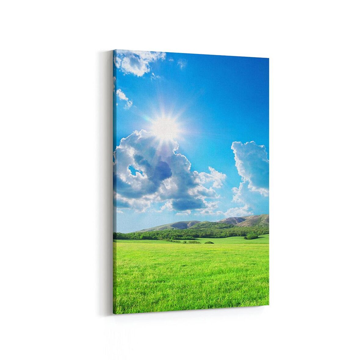 Olla 14333D Doğa / Manzara Görseli Dikey Kanvas Tablo (Ölçü: 20X30)