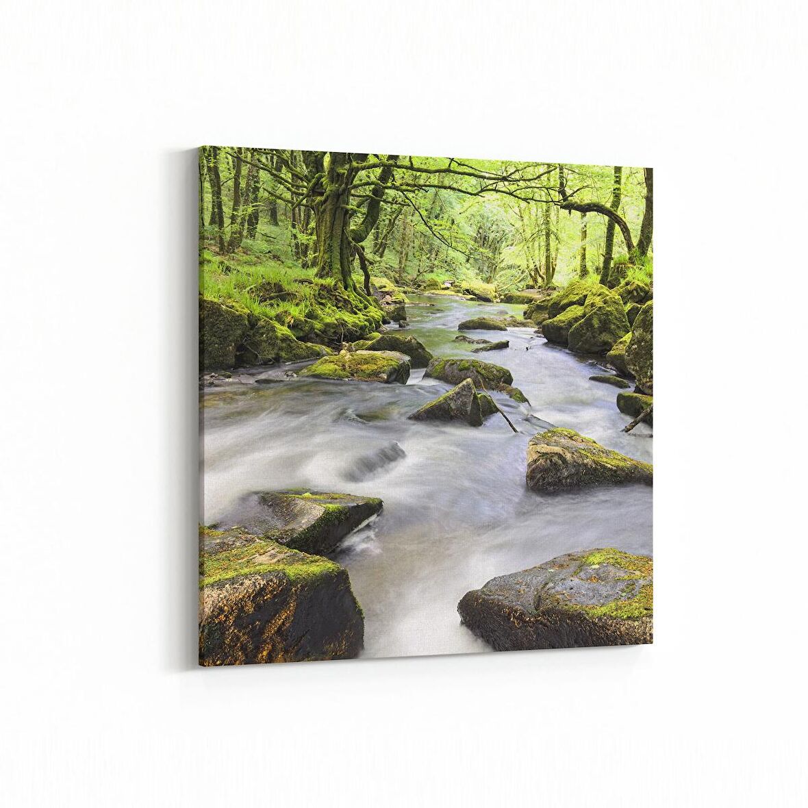 Olla 13469K Doğa / Manzara Görseli Kare Kanvas Tablo (Ölçü: 100X100)