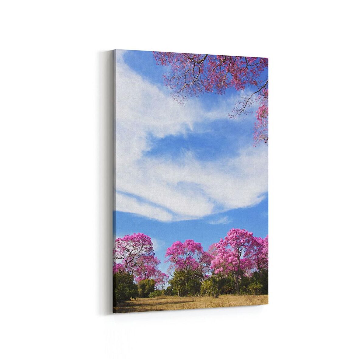 Olla 13532D Doğa / Manzara Görseli Dikey Kanvas Tablo (Ölçü: 100X150)