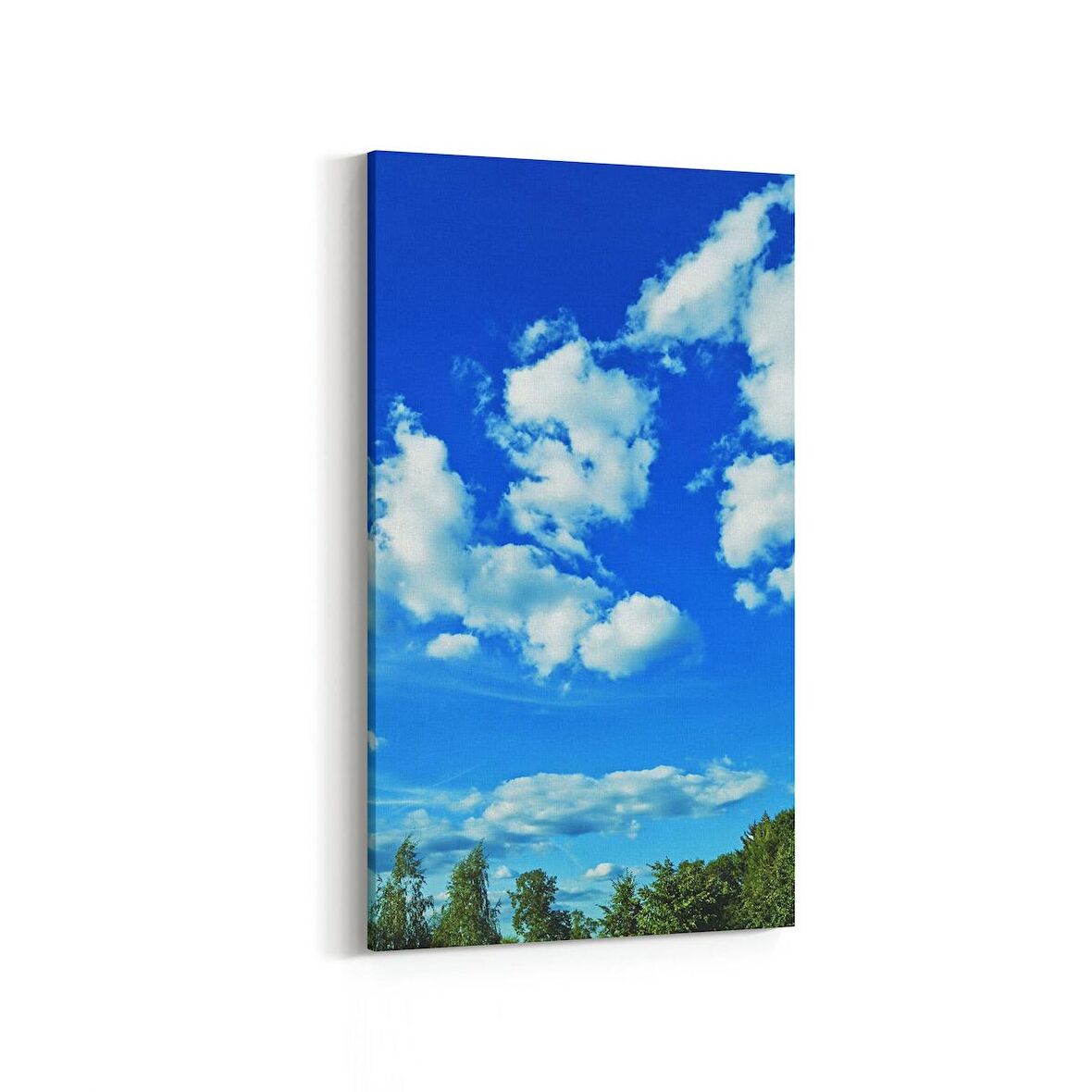 Olla 14448DD Doğa / Manzara Görseli Dikey Dar Kanvas Tablo (Ölçü: 30X60)