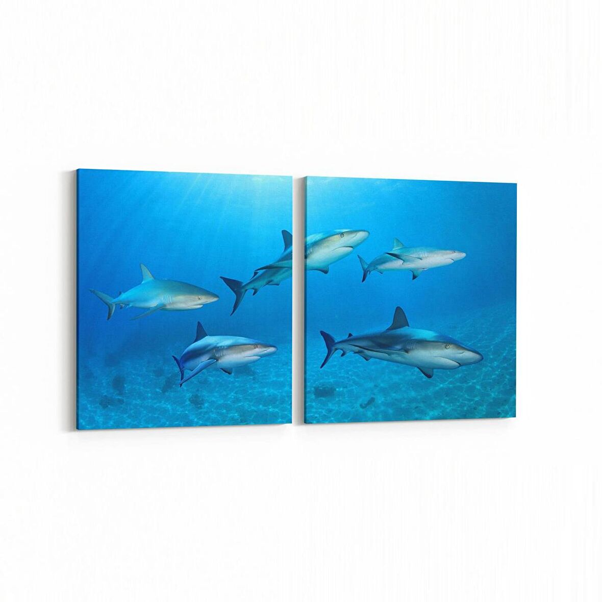 Olla 12870K2Y Deniz / Okyanus Görseli Kare 2'li Yatay Kanvas Tablo (Ölçü: 125X60)