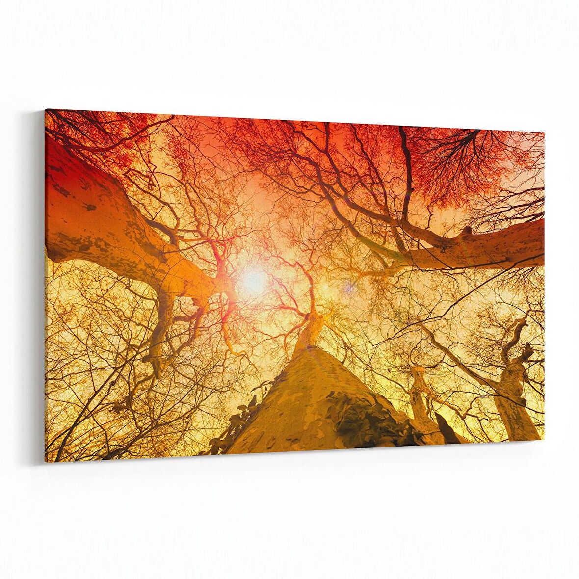 Olla 10738Y Ağaç Görseli Yatay Kanvas Tablo (Ölçü: 70X50)