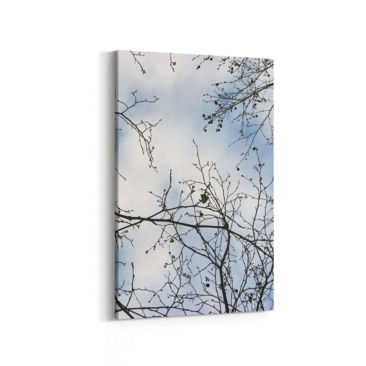 Olla 10927D Ağaç Görseli Dikey Kanvas Tablo (Ölçü: 60X90)