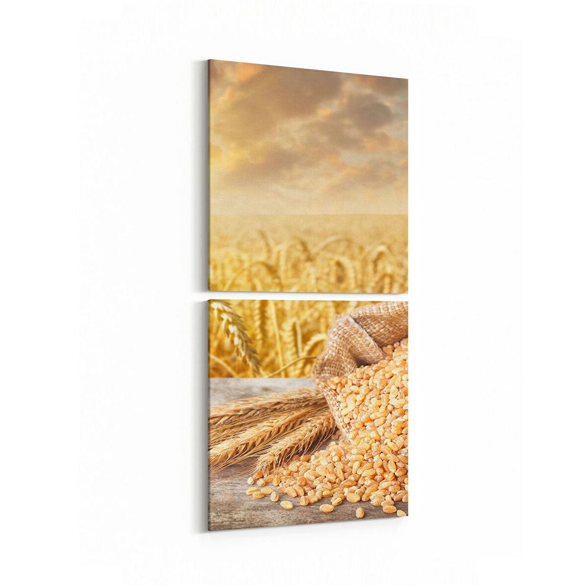 Olla 15253K2D Gıda Görseli 2'li Dikey Kanvas Tablo (Ölçü: 30X65)