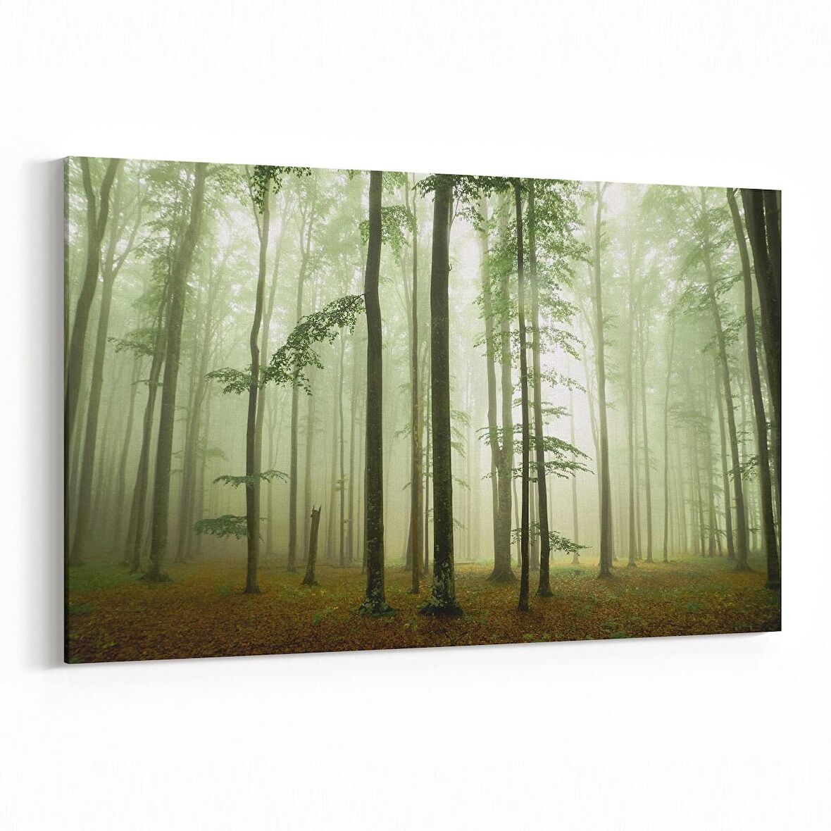 Olla 14290Y Doğa / Manzara Görseli Yatay Kanvas Tablo (Ölçü: 45X30)