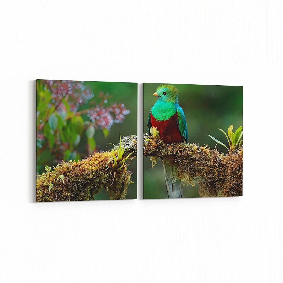 Olla 12632K2Y Hayvanlar Alemi Görseli Kare 2'li Yatay Kanvas Tablo (Ölçü: 85X40)