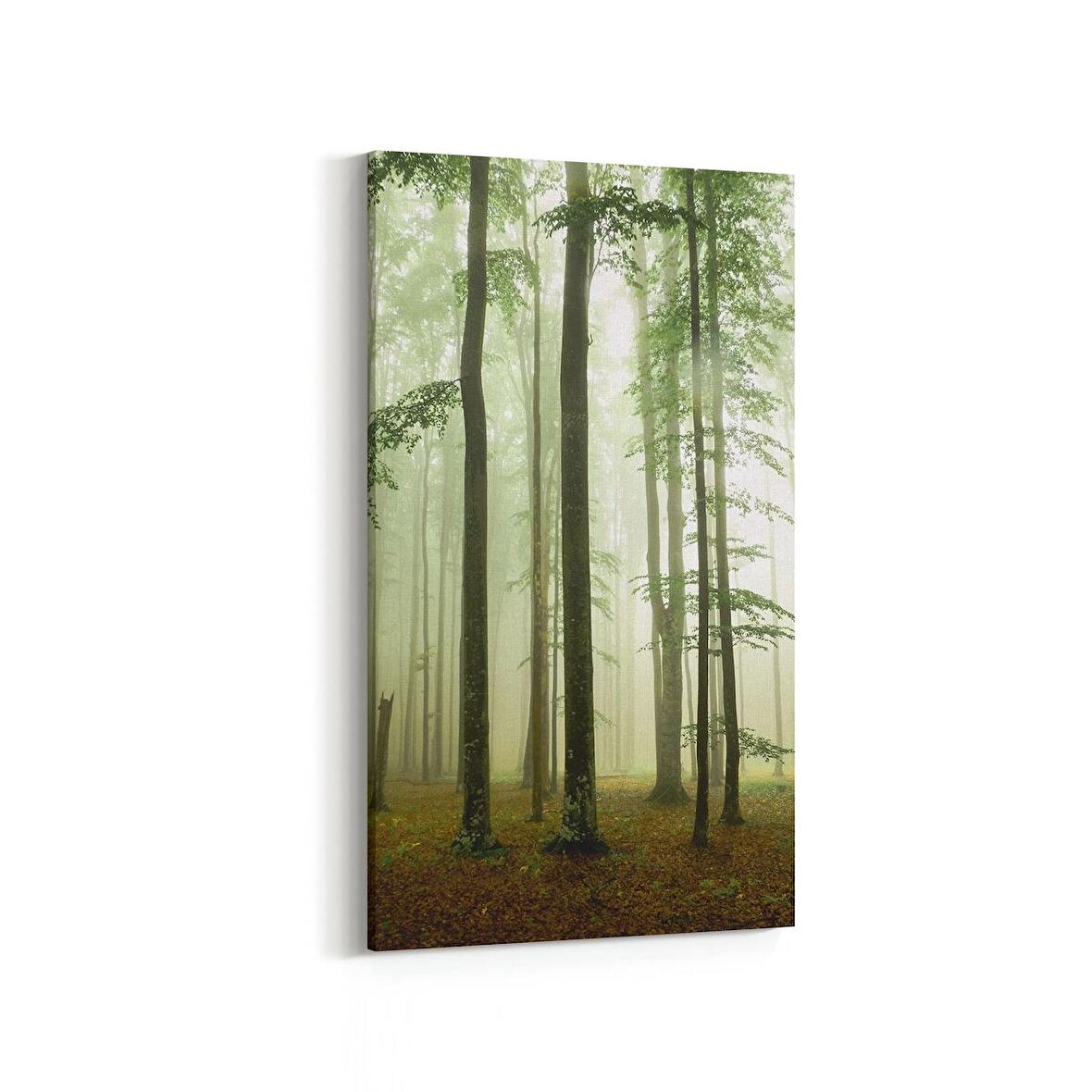 Olla 14290DD Doğa / Manzara Görseli Dikey Dar Kanvas Tablo (Ölçü: 40X80)