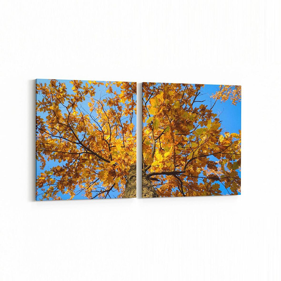 Olla 11015K2Y Ağaç Görseli Kare 2'li Yatay Kanvas Tablo (Ölçü: 125X60)