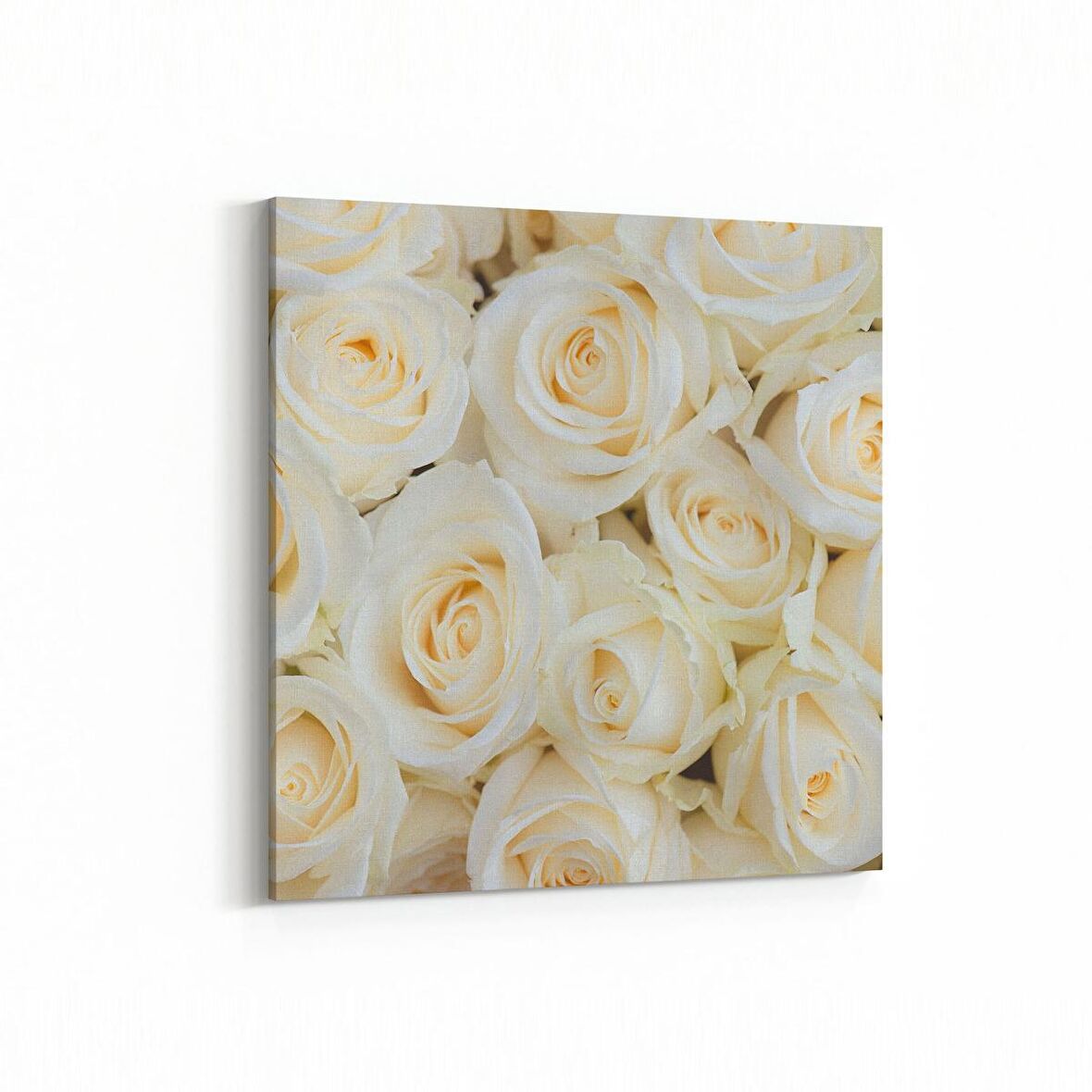 Olla 11608K Çiçek Görseli Kare Kanvas Tablo (Ölçü: 60X60)