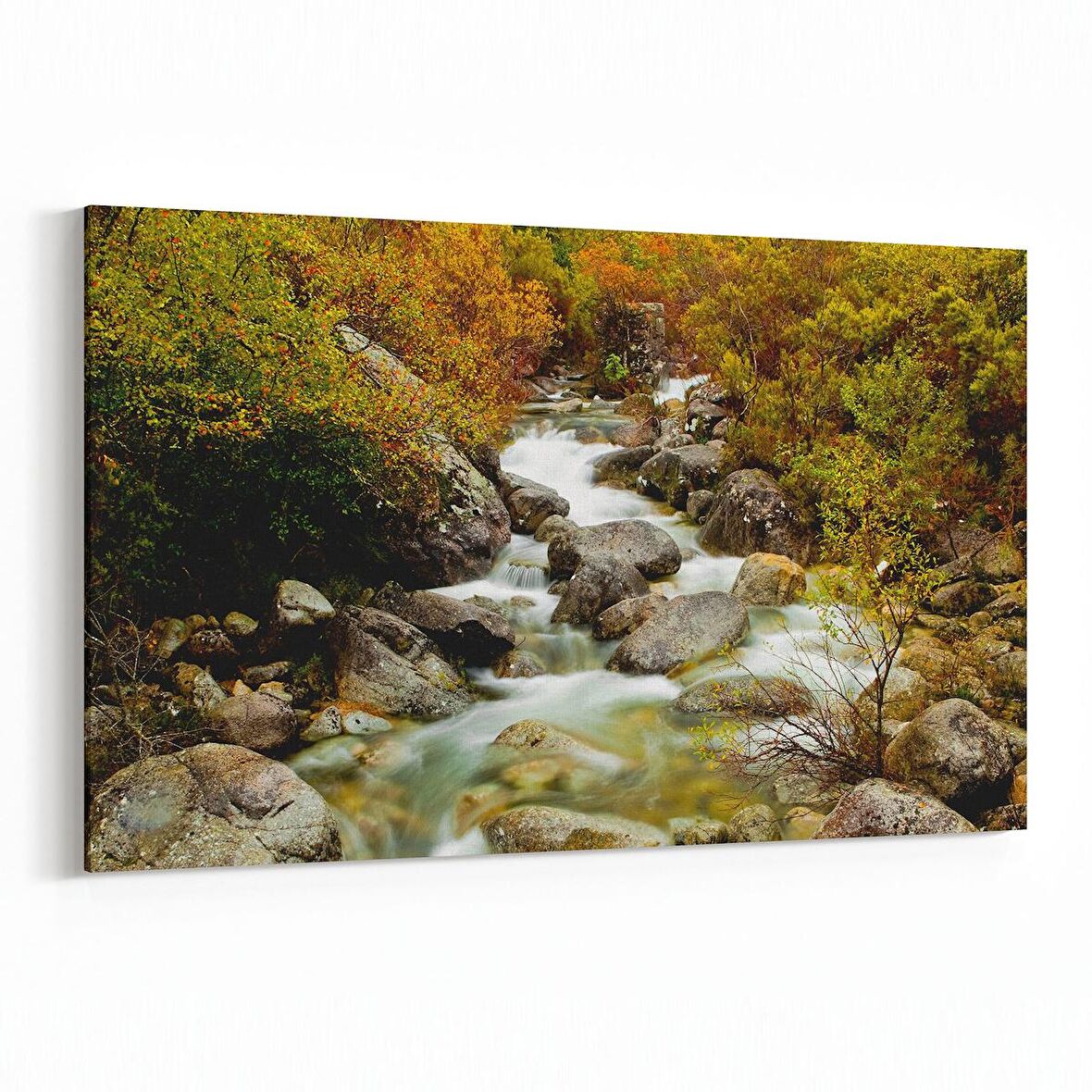 Olla 14298Y Doğa / Manzara Görseli Yatay Kanvas Tablo (Ölçü: 30X20)