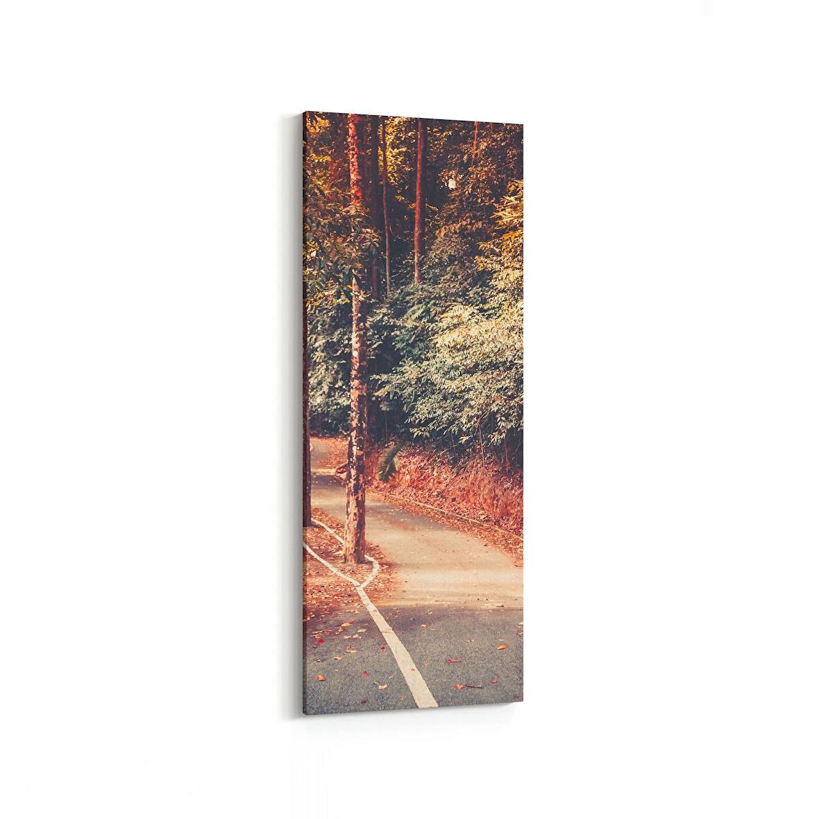 Olla 14454DI Doğa / Manzara Görseli Dikey İnce Kanvas Tablo (Ölçü: 40X120)
