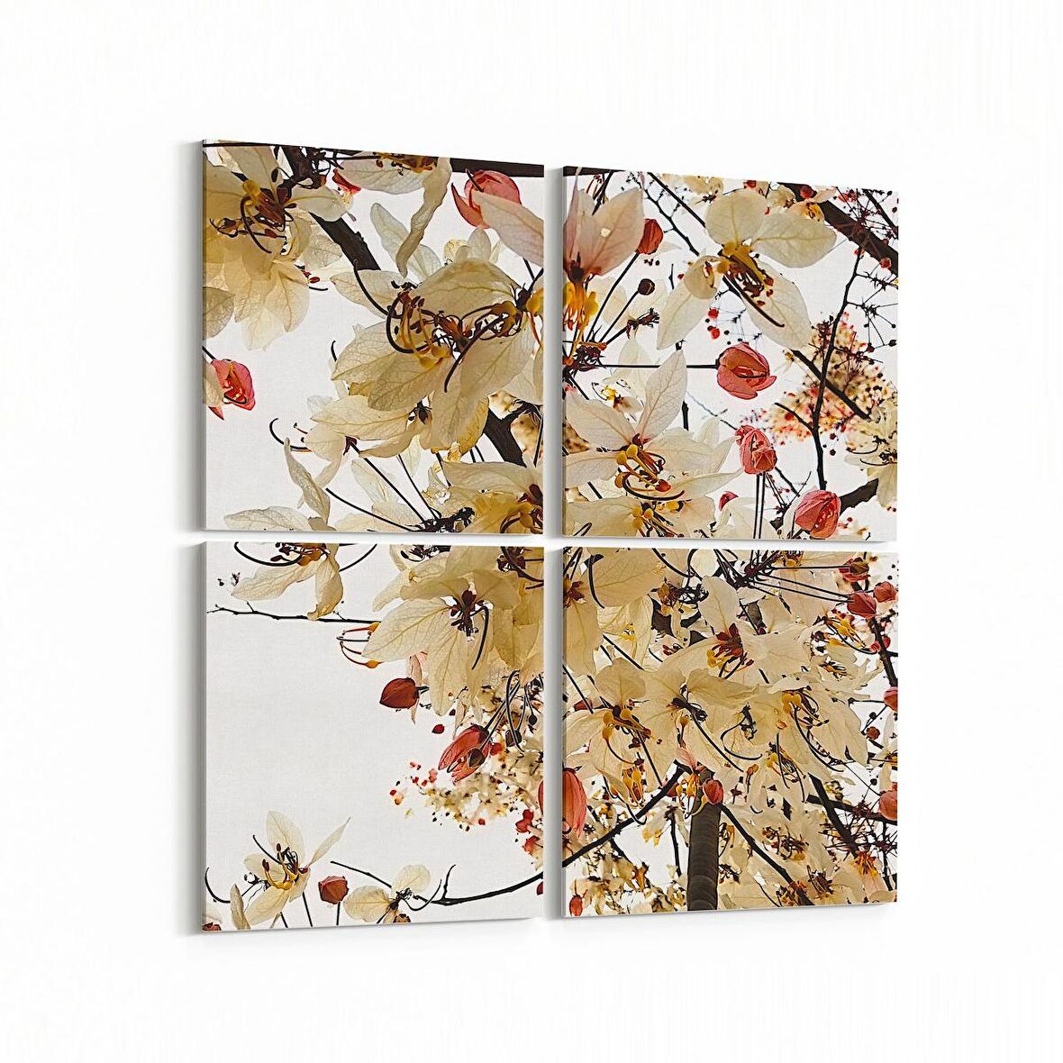 Olla 10482K4 Ağaç Görseli Kare 4'lü Kanvas Tablo (Ölçü: 65X65)