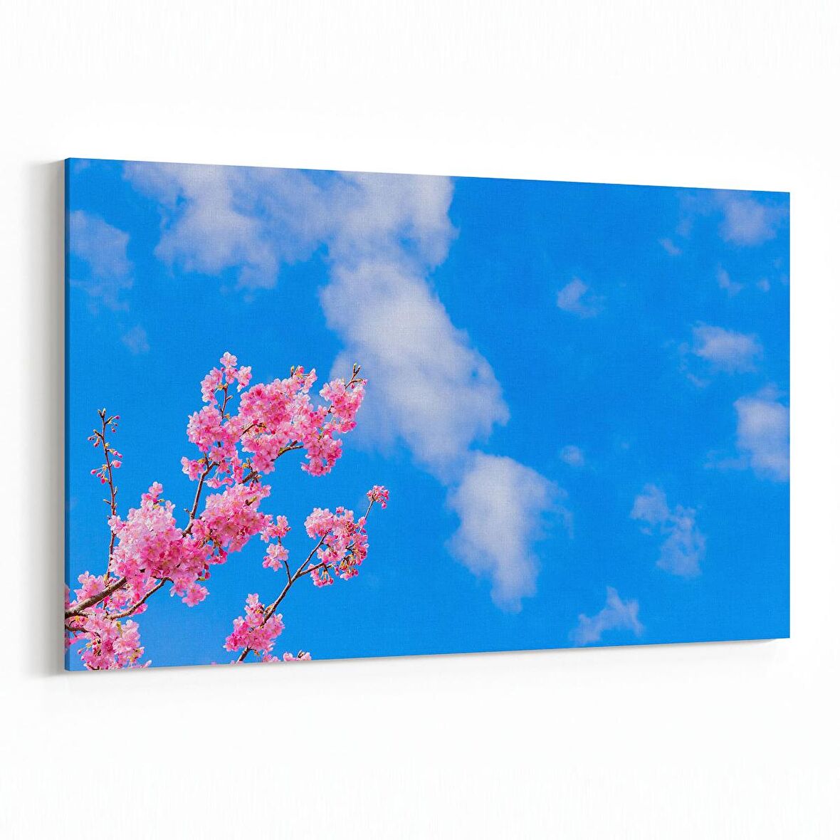 Olla 10576Y Ağaç Görseli Yatay Kanvas Tablo (Ölçü: 90X60)