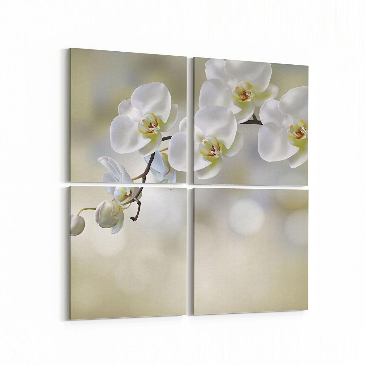 Olla 11718K4 Orkide Çiçek Görseli Kare 4'lü Kanvas Tablo (Ölçü: 145X145)