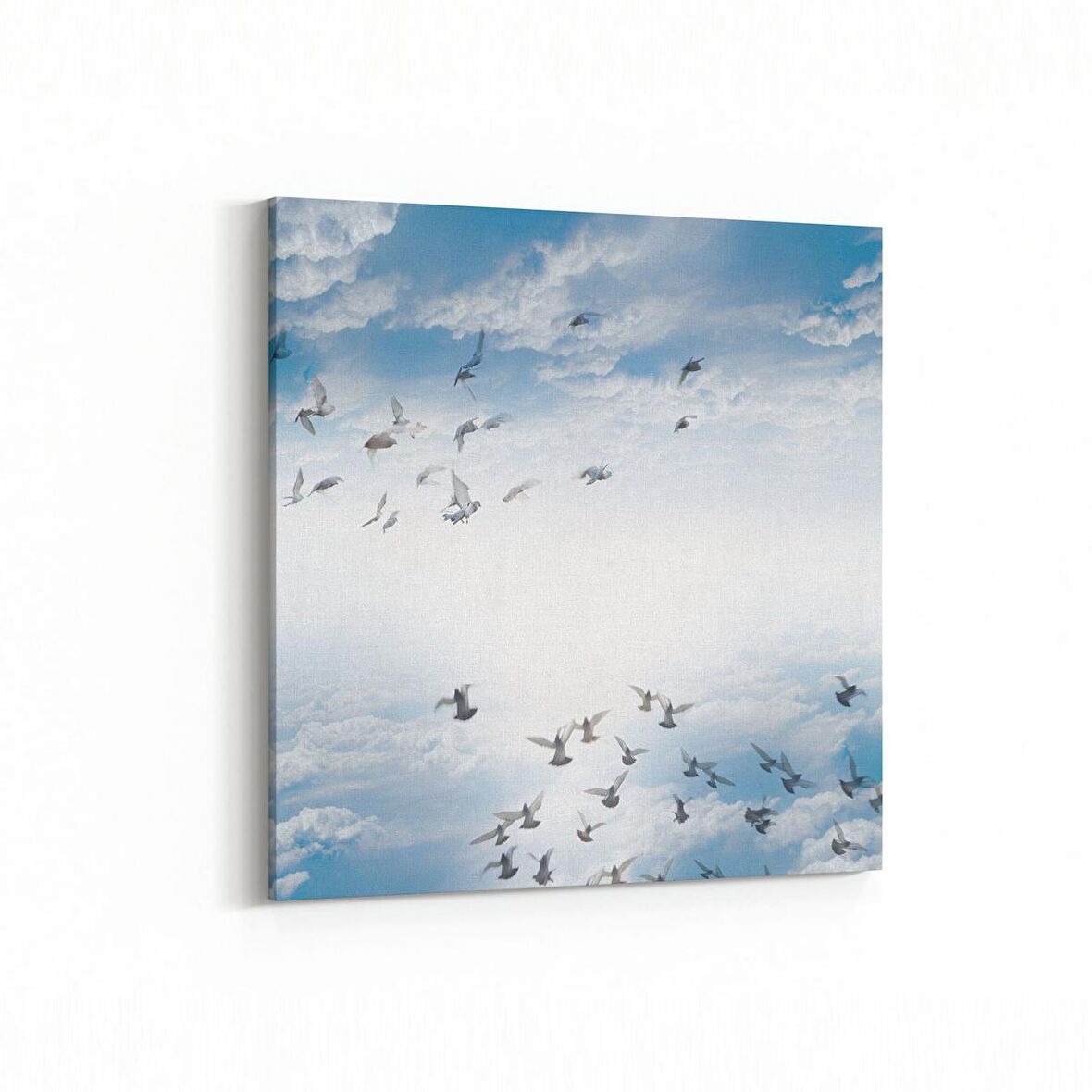 Olla 15840K Gökyüzü Kuşlar Görseli Kare Kanvas Tablo (Ölçü: 60X60)