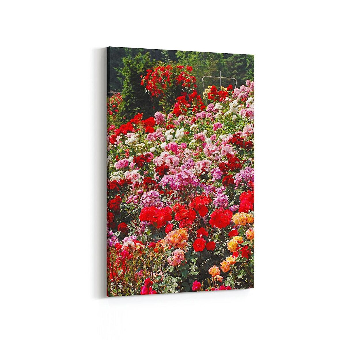 Olla 11575D Çiçek Görseli Dikey Kanvas Tablo (Ölçü: 20X30)