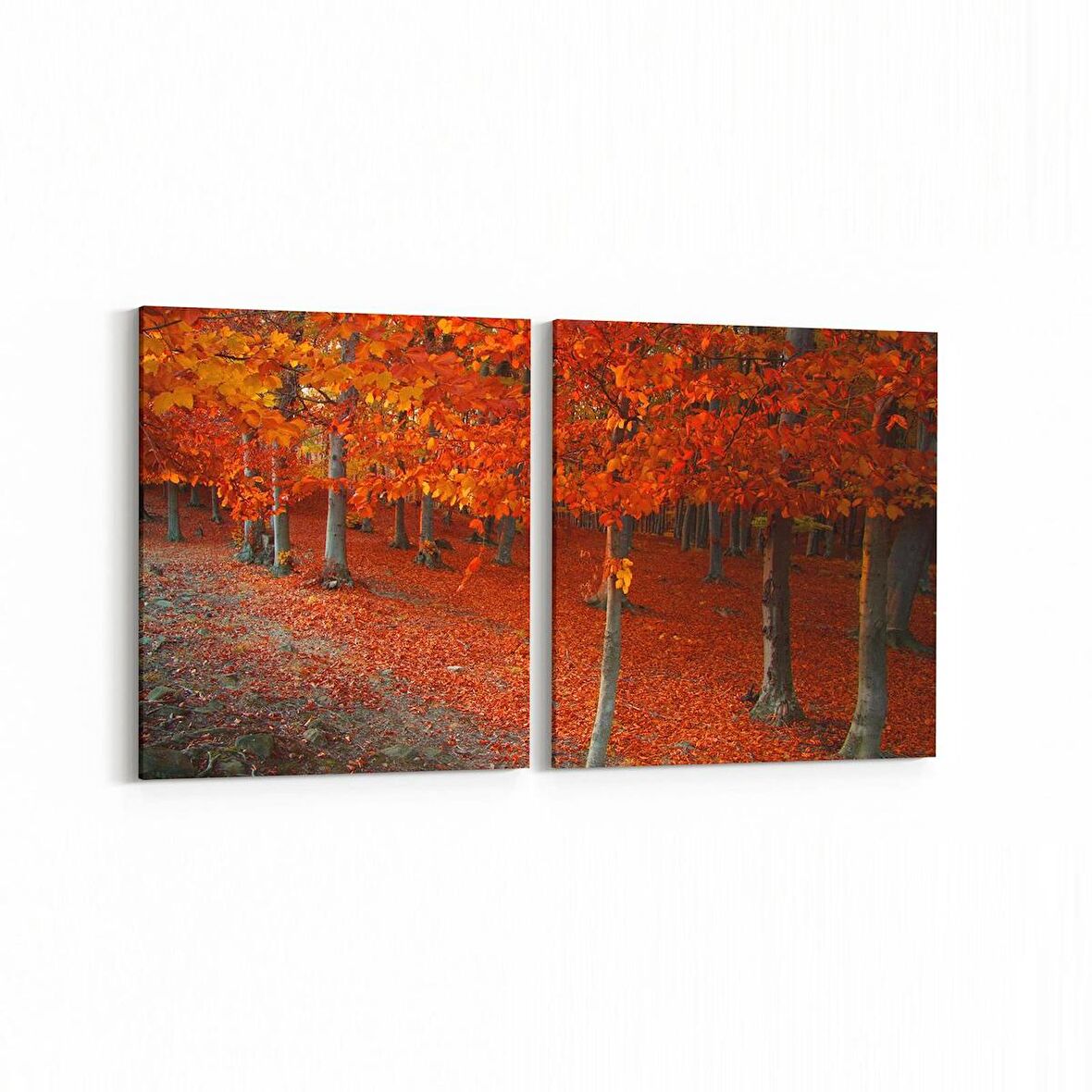 Olla 13335K2Y Doğa / Manzara Görseli Kare 2'li Yatay Kanvas Tablo (Ölçü: 125X60)