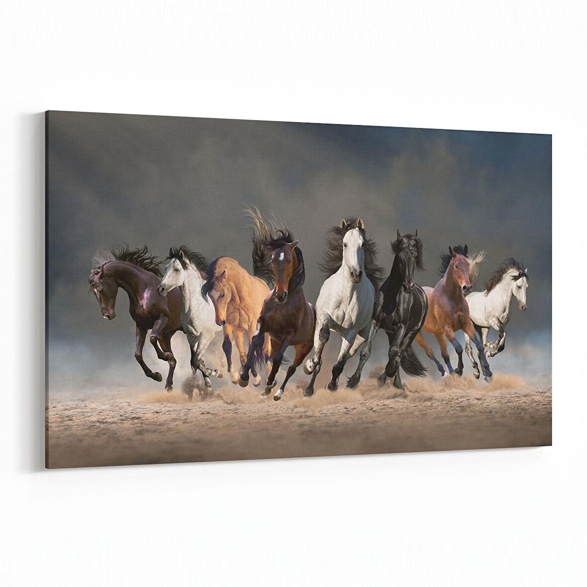 Olla 12493Y Hayvanlar Alemi Görseli Yatay Kanvas Tablo (Ölçü: 30X20)