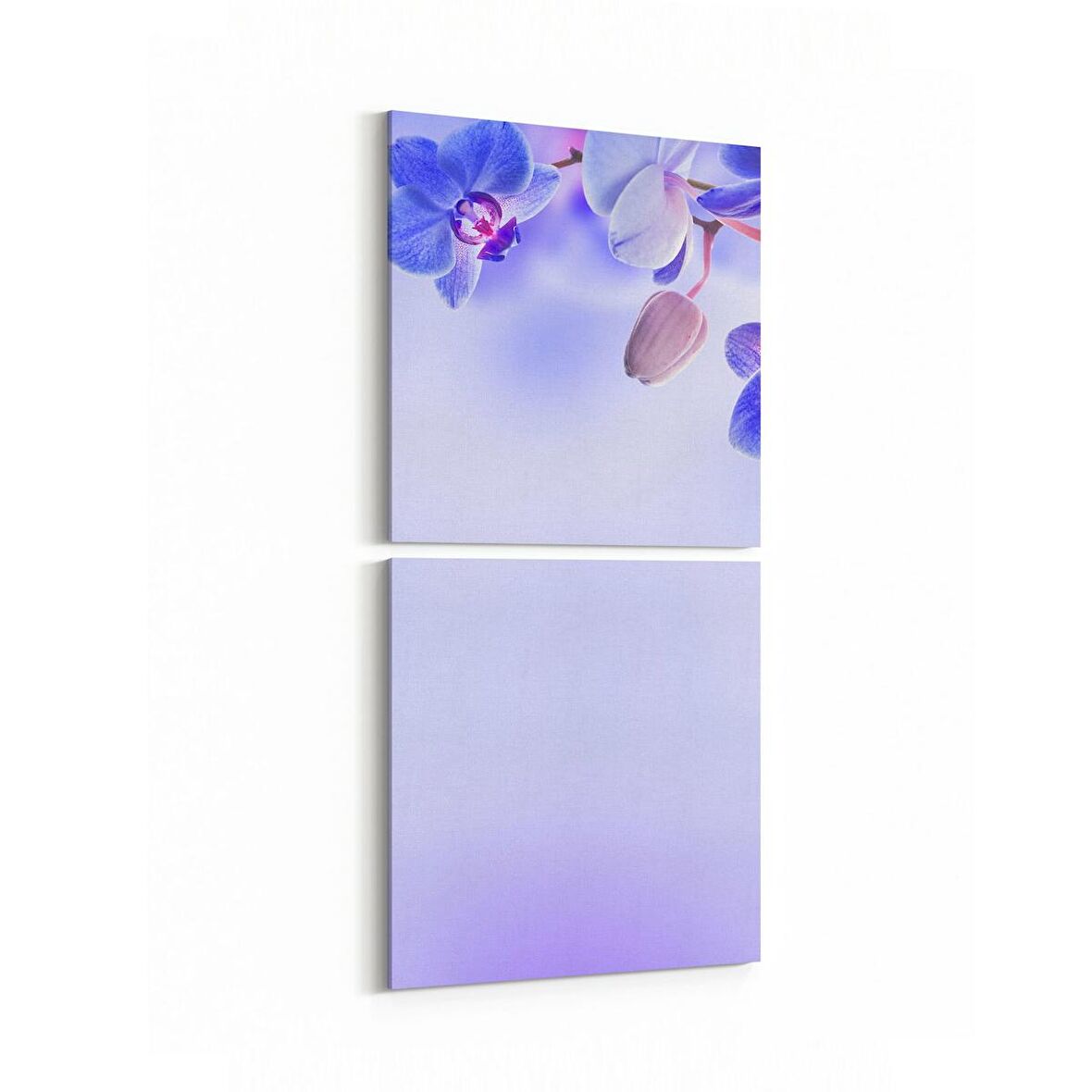 Olla 11688K2D Orkide Çiçek Görseli Kare 2'li Dikey Kanvas Tablo (Ölçü: 30X65)