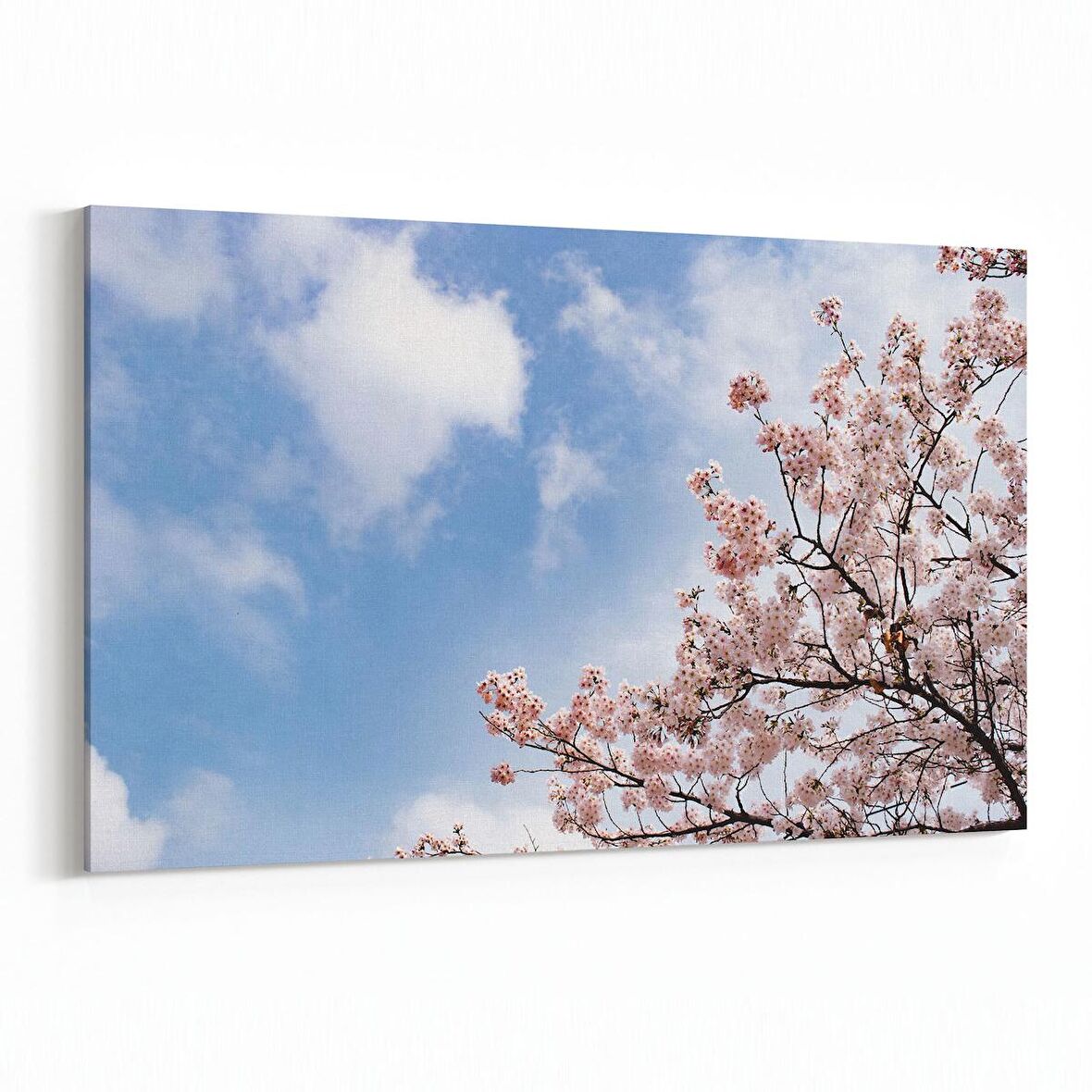 Olla 10996Y Ağaç Görseli Yatay Kanvas Tablo (Ölçü: 90X60)