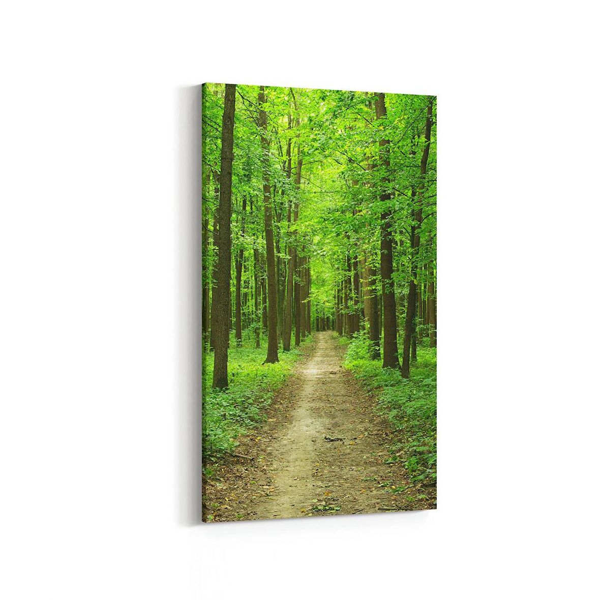 Olla 13645DD Doğa / Manzara Görseli Dikey Dar Kanvas Tablo (Ölçü: 60X120)