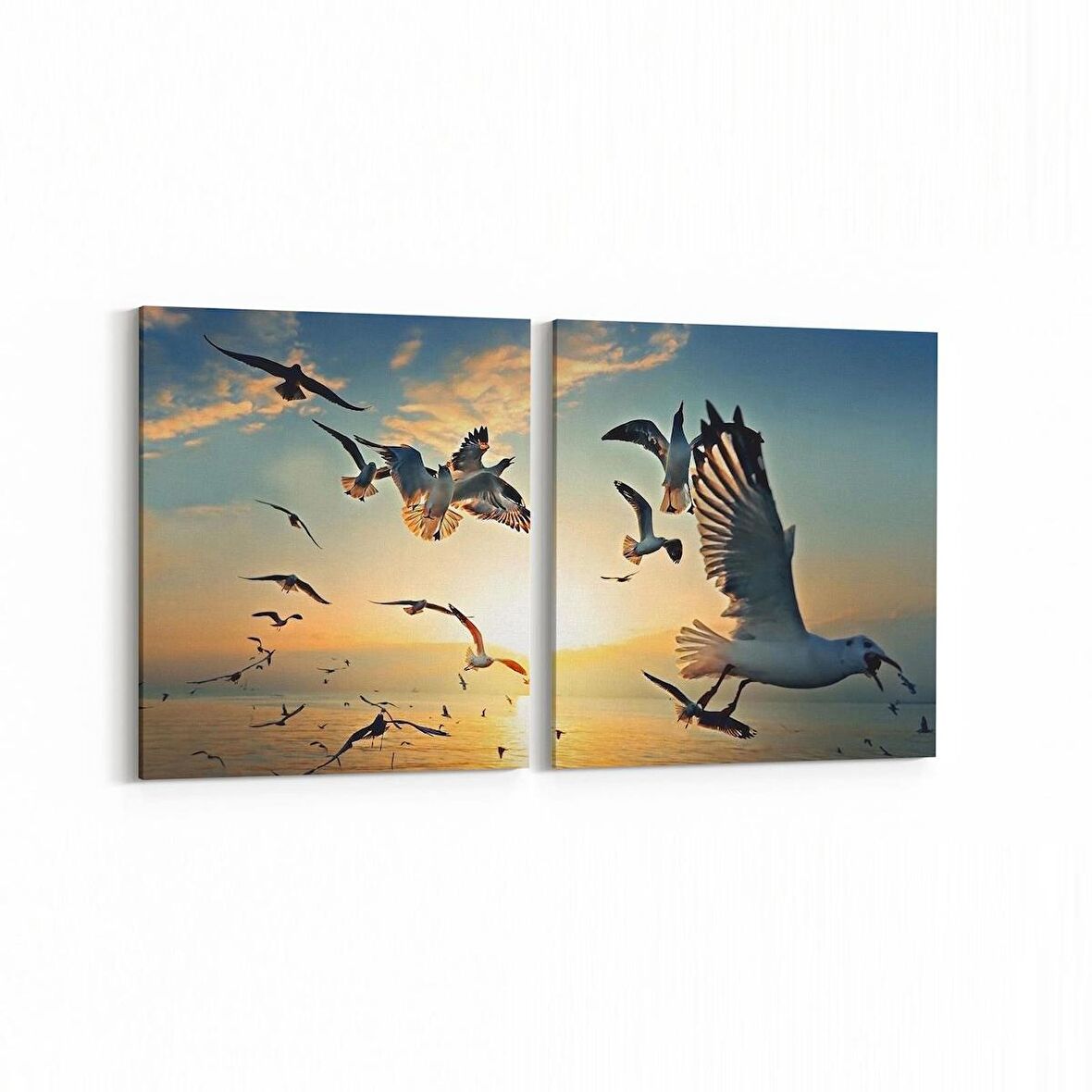 Olla 12485K2Y Hayvanlar Alemi Görseli Kare 2'li Yatay Kanvas Tablo (Ölçü: 125X60)