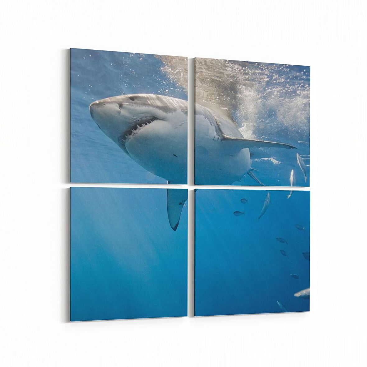 Olla 12910K4 Deniz / Okyanus Görseli Kare 4'lü Kanvas Tablo (Ölçü: 145X145)