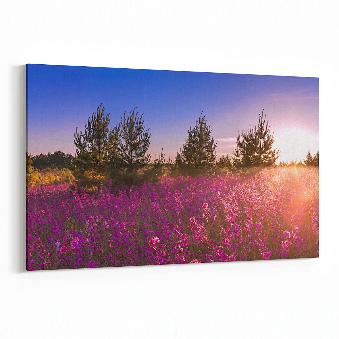 Olla 13854Y Doğa / Manzara Görseli Yatay Kanvas Tablo (Ölçü: 150X100)