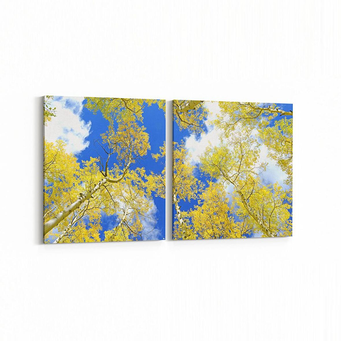 Olla 10626K2Y Ağaç Görseli Kare 2'li Yatay Kanvas Tablo (Ölçü: 125X60)