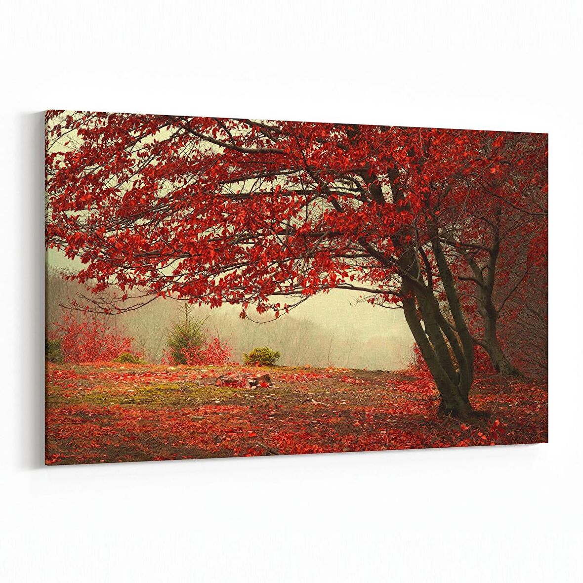 Olla 13338Y Doğa / Manzara Görseli Yatay Kanvas Tablo (Ölçü: 45X30)