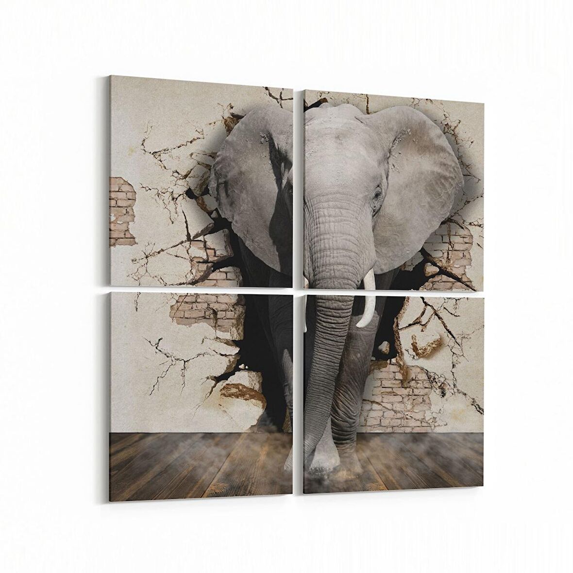 Olla 12497K4 Hayvanlar Alemi Görseli Kare 4'lü Kanvas Tablo (Ölçü: 105X105)