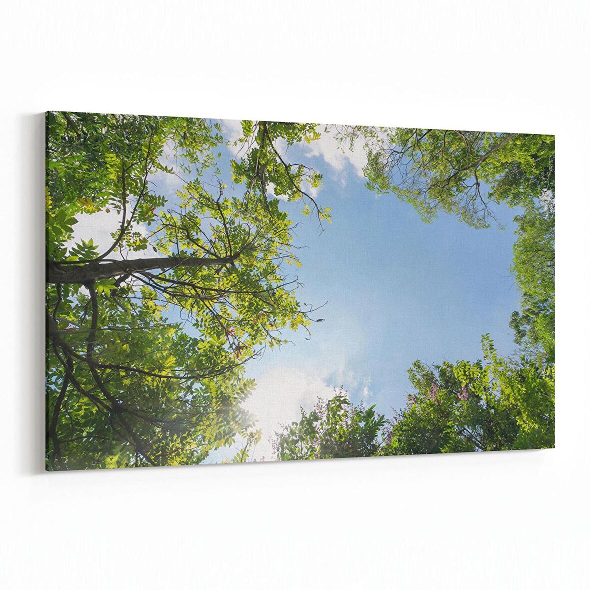 Olla 10504Y Ağaç Görseli Yatay Kanvas Tablo (Ölçü: 90X60)