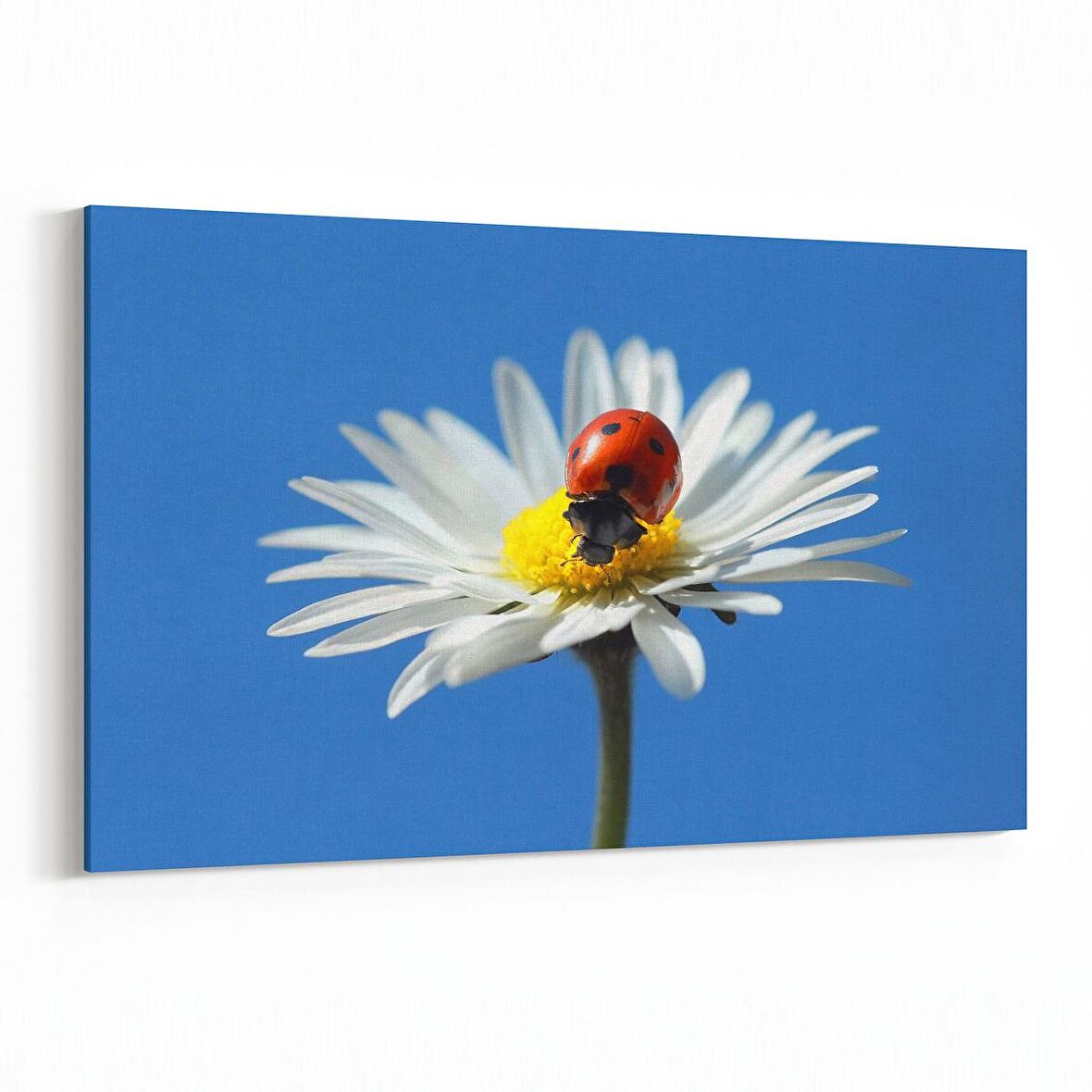 Olla 10773Y Ağaç Görseli Yatay Kanvas Tablo (Ölçü: 120X80)