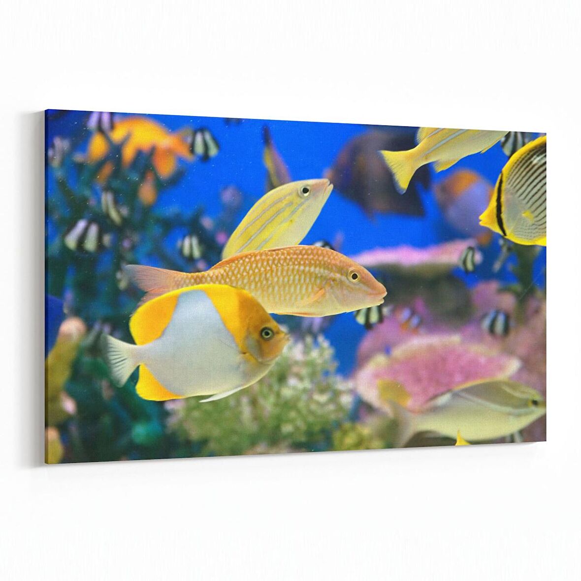 Olla 12055Y Akvaryum / Balık Görseli Yatay Kanvas Tablo (Ölçü: 90X60)