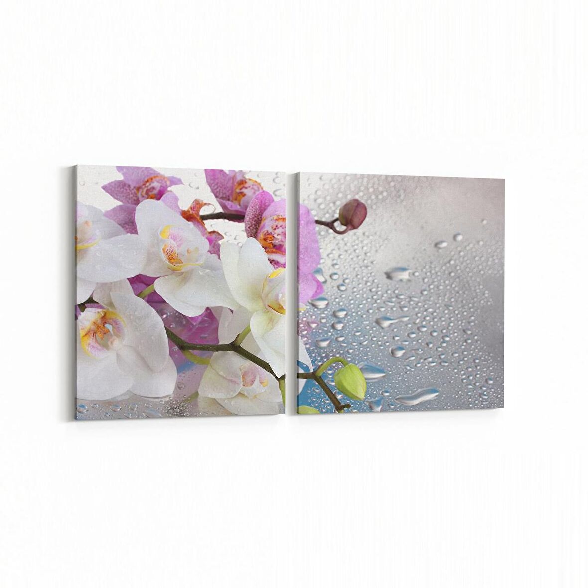 Olla 11662K2Y Orkide Çiçek Görseli 2'li Yatay Kanvas Tablo (Ölçü: 145X70)