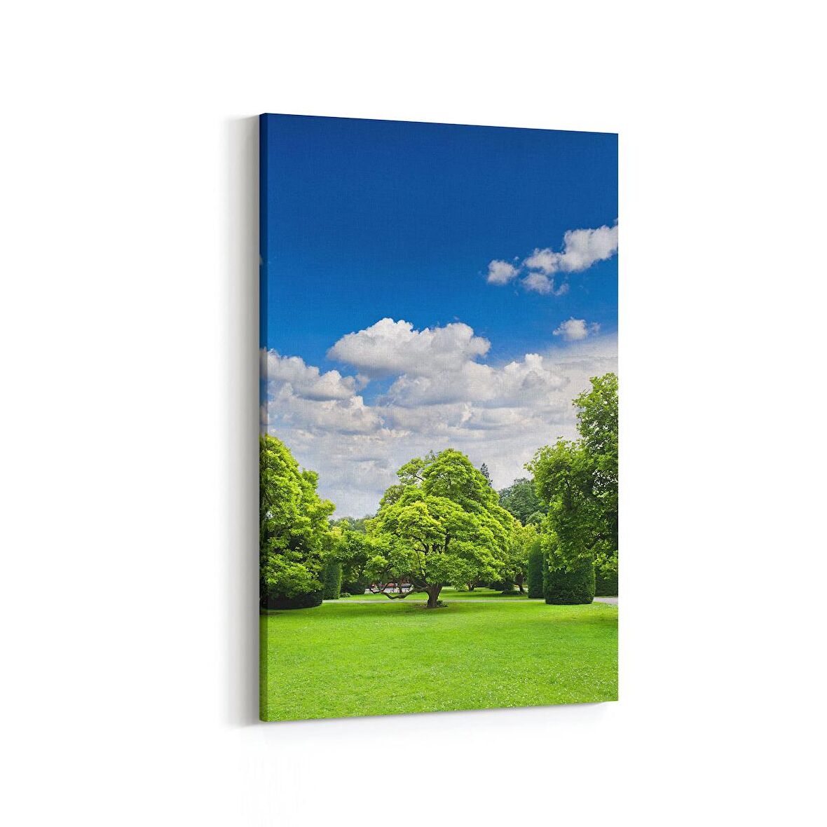 Olla 14562D Doğa / Manzara Görseli Dikey Kanvas Tablo (Ölçü: 70X105)